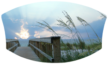 DNSWILL 125 Crossing Over (Boardwalk)